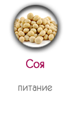 Соя в носочках SoSu